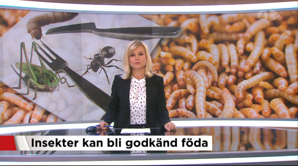 insekter_i_sverige